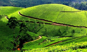 Munnar