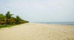 Marari, Cochin