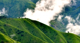 Chail, Manali