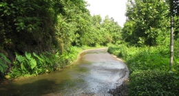 Changanacherry, Ponmudi