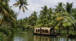 Chempu, Alleppey