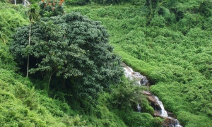 Chittar Lake