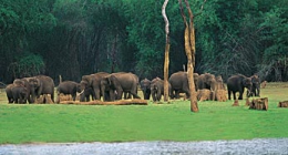 Thekkady, Guest Houses