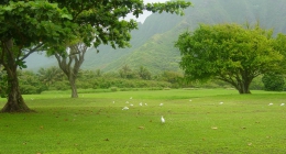 Elanthoor, Ponmudi