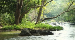 Vythiri, Wayanad, Ramanattukara