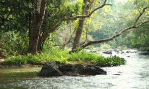 Vythiri, Wayanad