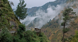 Kasauli, Hotels