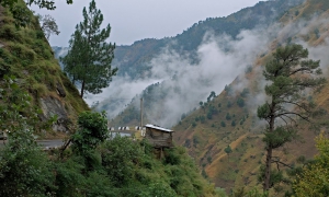 Kasauli