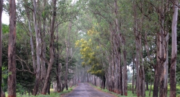 Khanvel, Navi Mumbai