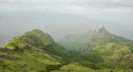 Kodanad, Munnar