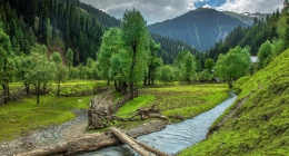 Kottli Sainian, Pahalgam