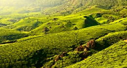 Kuruppumthara, Alleppey