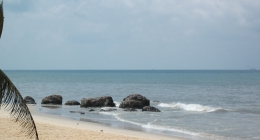 Mangalore, Polibetta