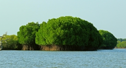 Manjakuppam, Neil Island