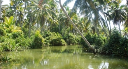 Muttukadu, Pondicherry