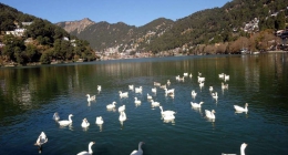 Nainital, Ramnagar