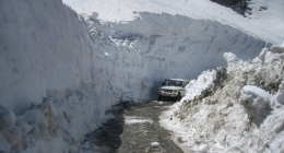 Shimla, Mohali