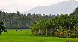 Sulthan Bathery, Coonoor