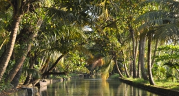 Thanneermukkom, Guest Houses