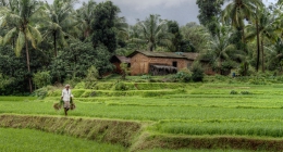 Toranagallu, Thumukunta