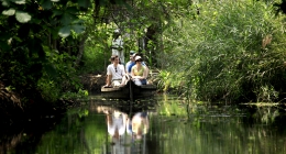 Vaikom, Alleppey