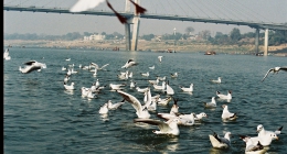 Varanasi, Khajuraho