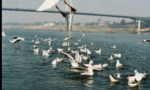 Varanasi