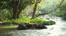 Vellamunda, Madikeri,Coorg