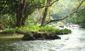 Vellamunda