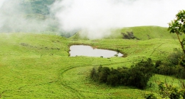 Amalavayal, Coonoor