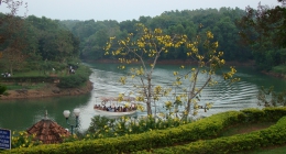 Bheeramballi, Suntikoppa