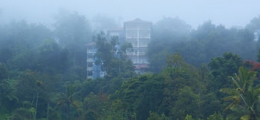 , Munnar, Hotels