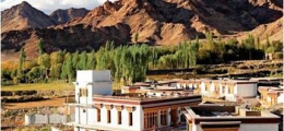 , Leh, Hotels