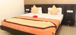 , Ludhiana, Hotels