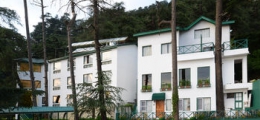 , Shimla, Hotels