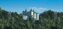 , Shimla, Hotels