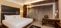 , Ahmedabad, Hotels