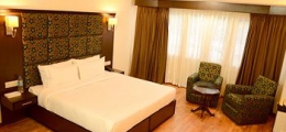 , Srinagar, Hotels