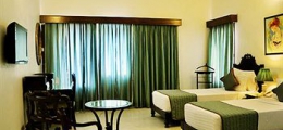 , Udaipur, Hotels