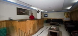 , Manali, Hotels