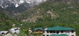 , Manali, Hotels