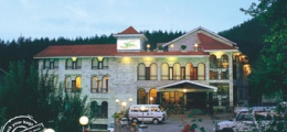 , Manali, Hotels