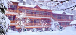 , Manali, Hotels