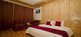 , Manali, Hotels