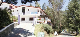 , Ooty, Hotels