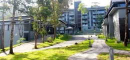 , Thekkady, Hotels