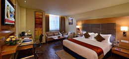 , Panaji, Hotels