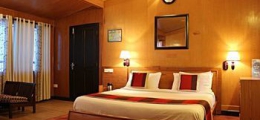 , Alwar, Hotels