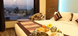 , Alwar, Hotels