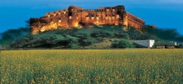 , Alwar, Hotels